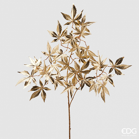 Кленовая ветвь