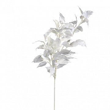 Flock.Snow Thistle Stem